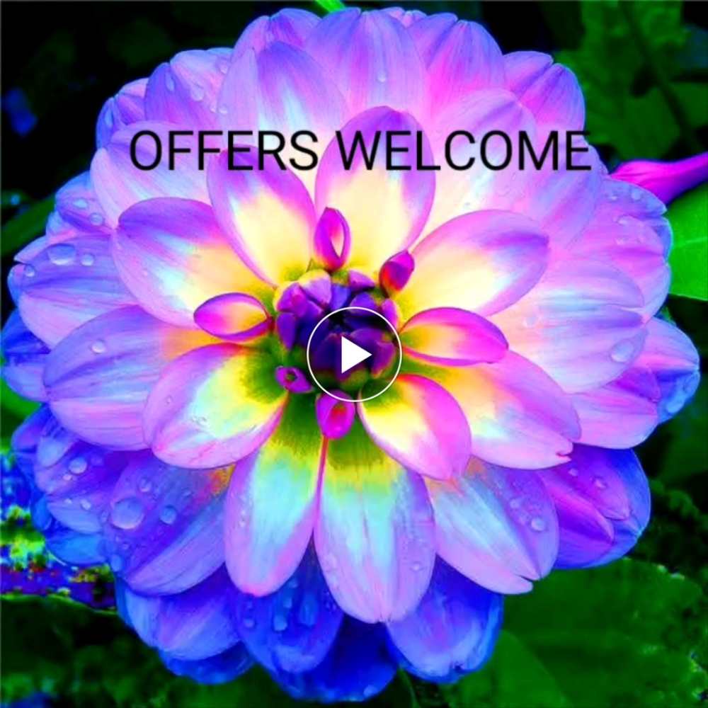 ***All reasonable offers accepted***